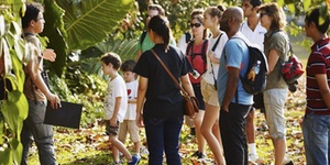 Heritage walk