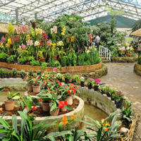 Deorali Orchid Sanctuary in Gangtok