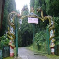 The Himalayan Zoological Park in Gangtok